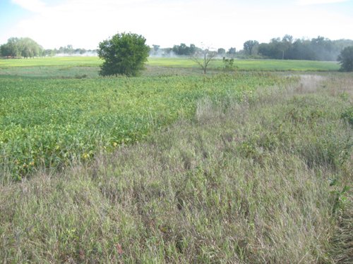 Property photo 10 - 110+/- Acres offered in 4 Tillable Tracts